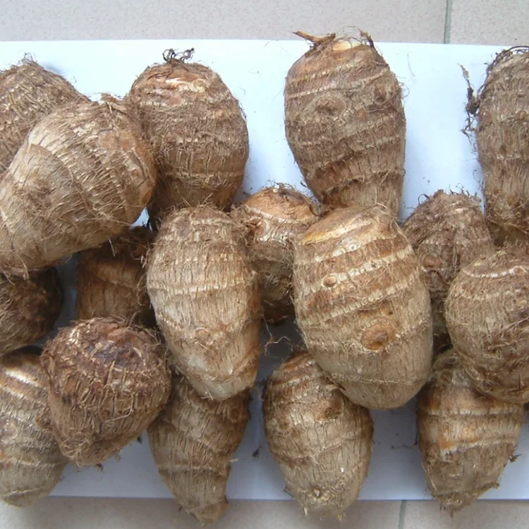 ફિલ્ડ ફ્રેશ તારો