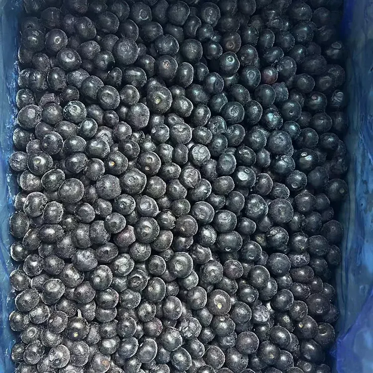 ફ્રોઝન બ્લુબેરી પ્રીમિયમ IQF બ્લૂબેરી
