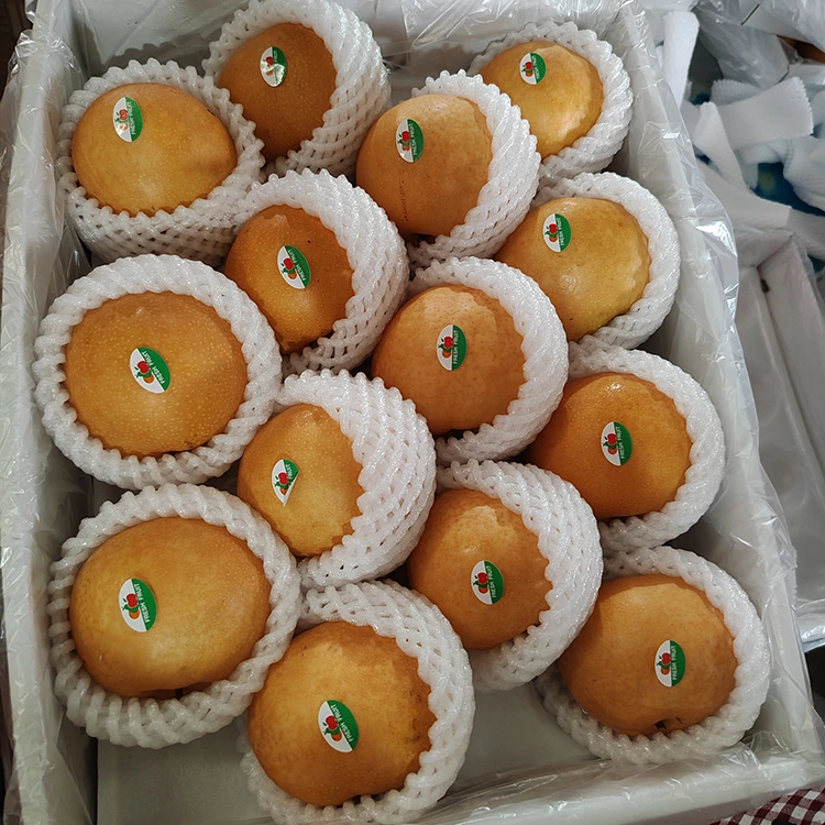 પ્રીમિયમ શિંગો નાશપતીનો