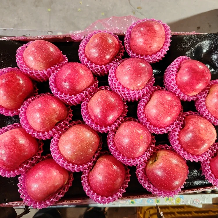 સુપિરિયર ફ્રેશ જીગુઆન સફરજન